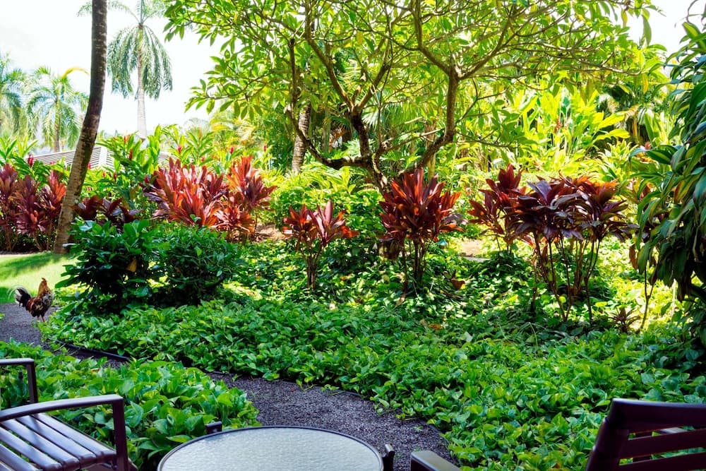 The Royal Sonesta Kaua'i Resort Lihue