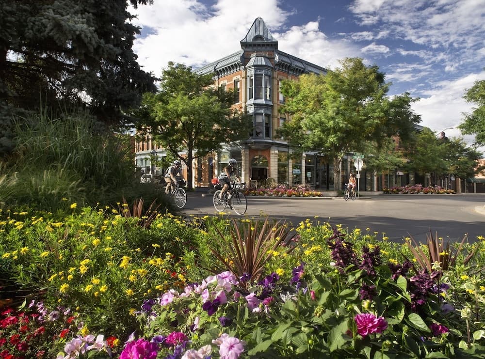 Cozy Chic Home in Downtown Loveland!