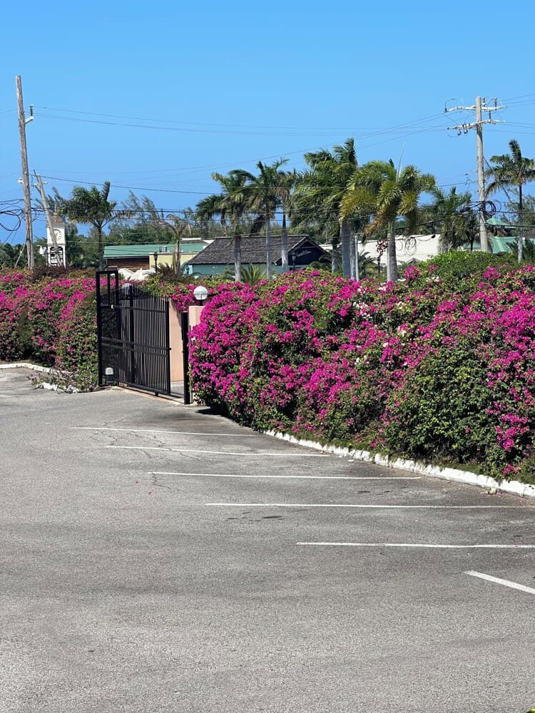 Remarkable 1-bed Apartment in Montego Bay