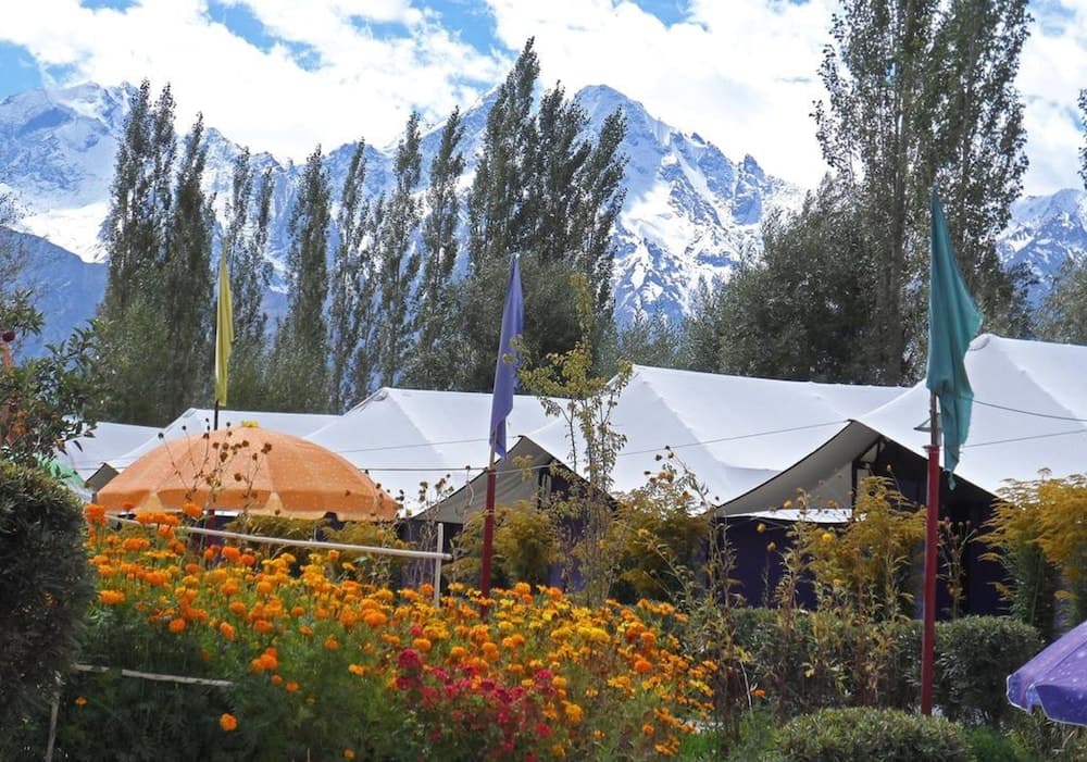 Tiger Camp