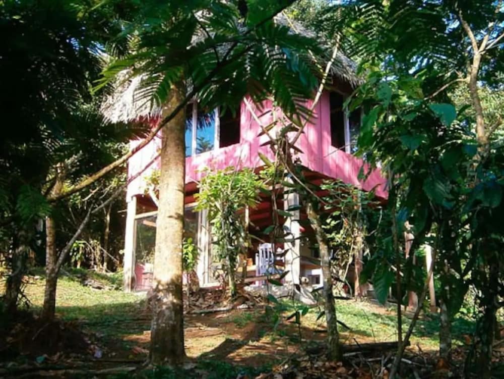 Vanilla Jungle Lodge - Bed & Breakfast