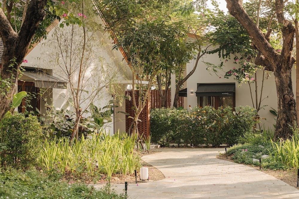Baan phandao