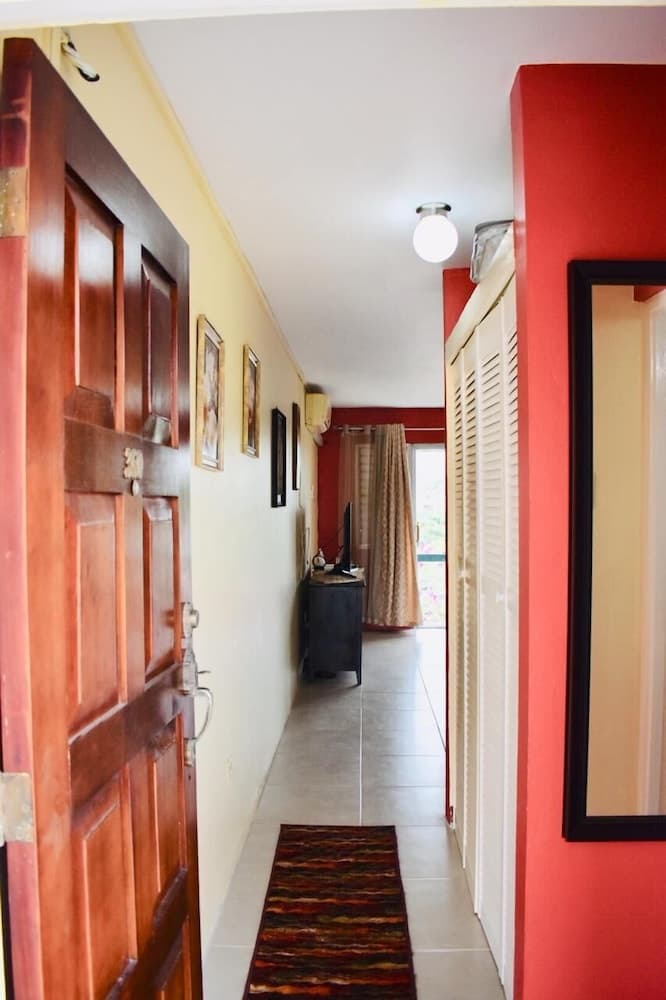 New Kingston Guest Apartment At Chelsea