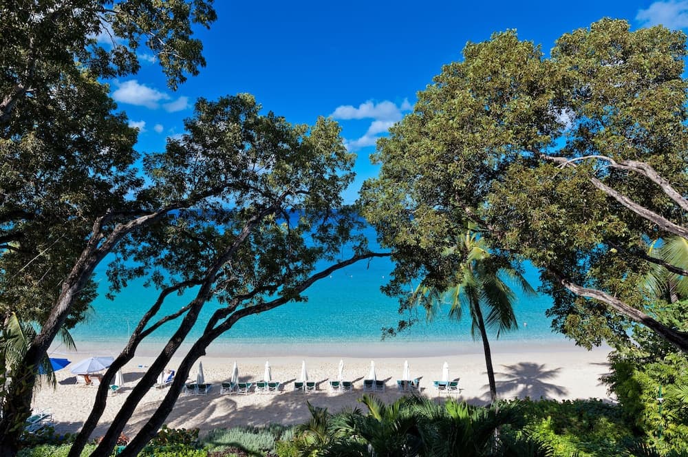 Coral Cove 11 by Altman