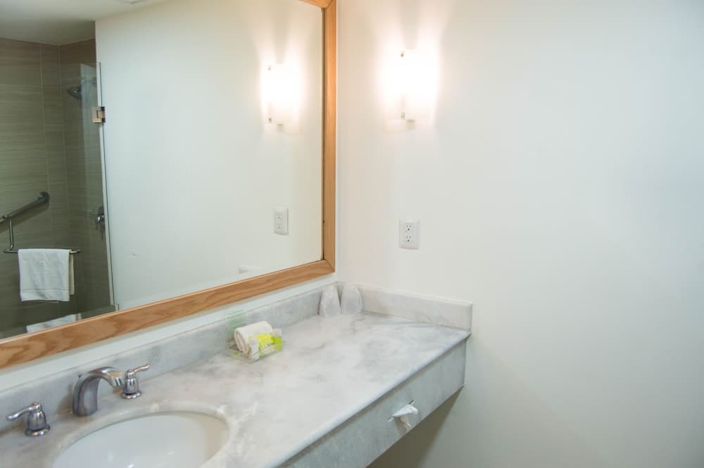 Holiday Inn Hotel & Suites Guadalajara-Centro Historico by IHG