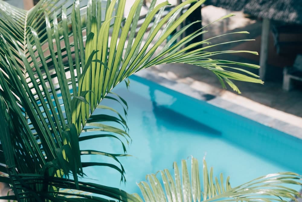 Paje Beach Apartments & Hotel