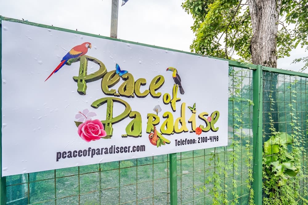 Peace of Paradise