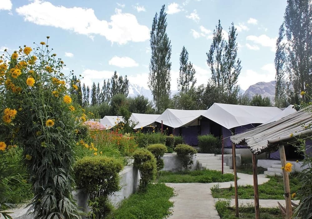 Tiger Camp