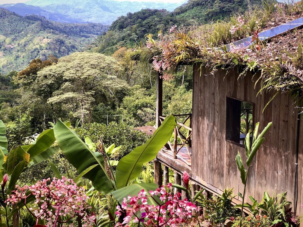 Finca Esperanza Verde