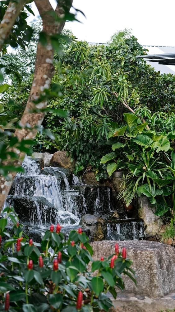 Lush Inn Phuket