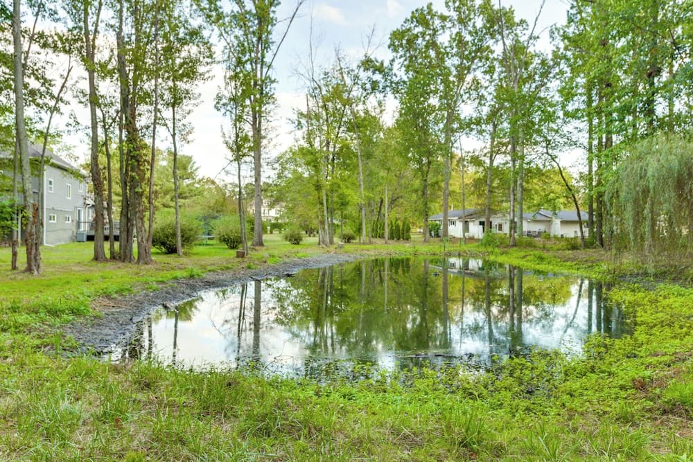 Large Yard w/ Pond: Family Retreat in New Albany!