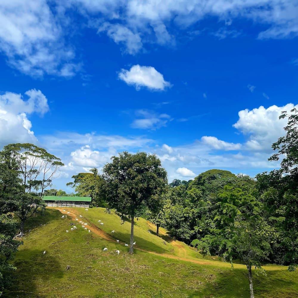 La Finca Azul