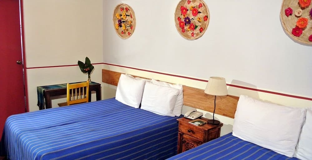 Árbol de Fuego Eco-hotel, a green experience in the city