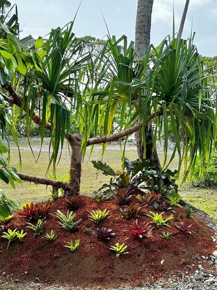 Moorea Reef Bungalows