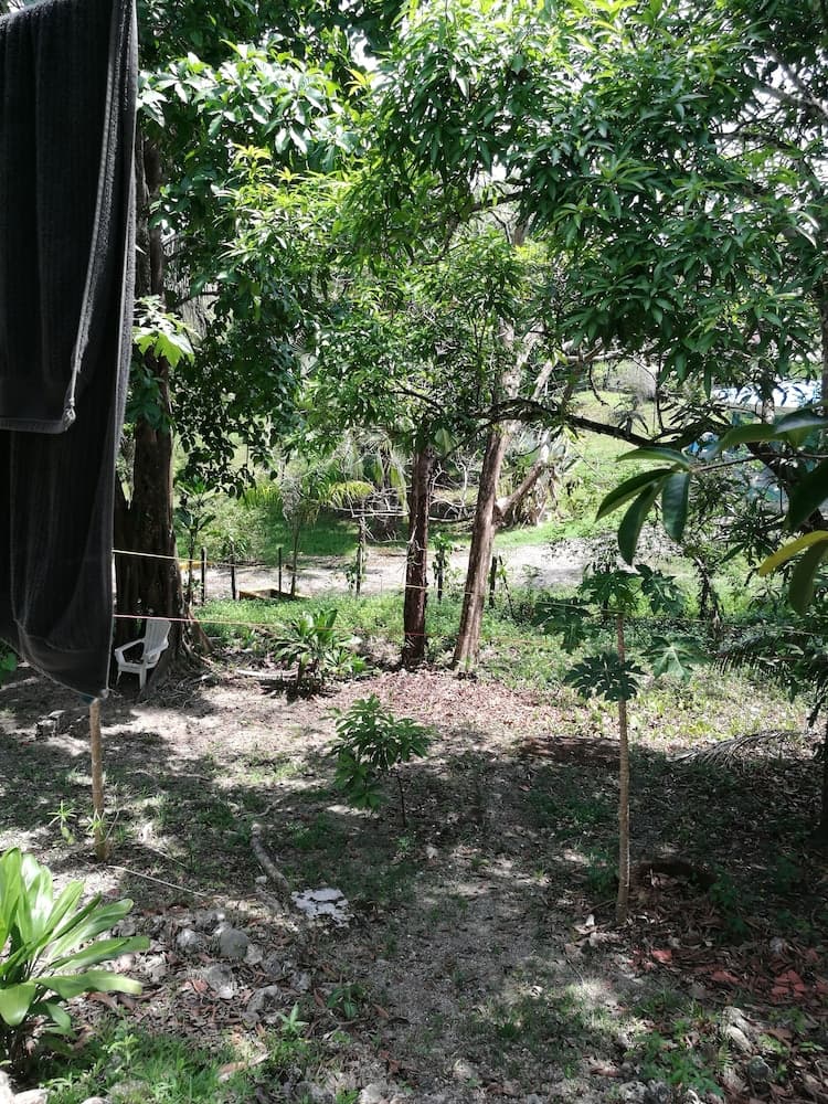 Manuela Ntonio Comfort Casa Macow 2 is one rom in Rural House