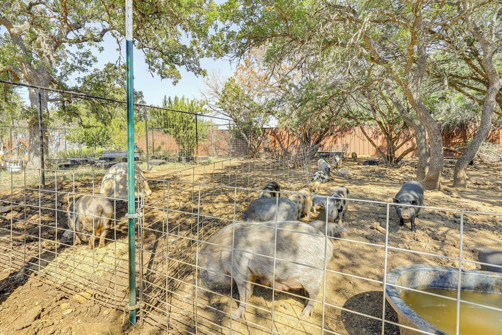 Rescue Ranch Retreat w/ Goats, Horses & Chickens!