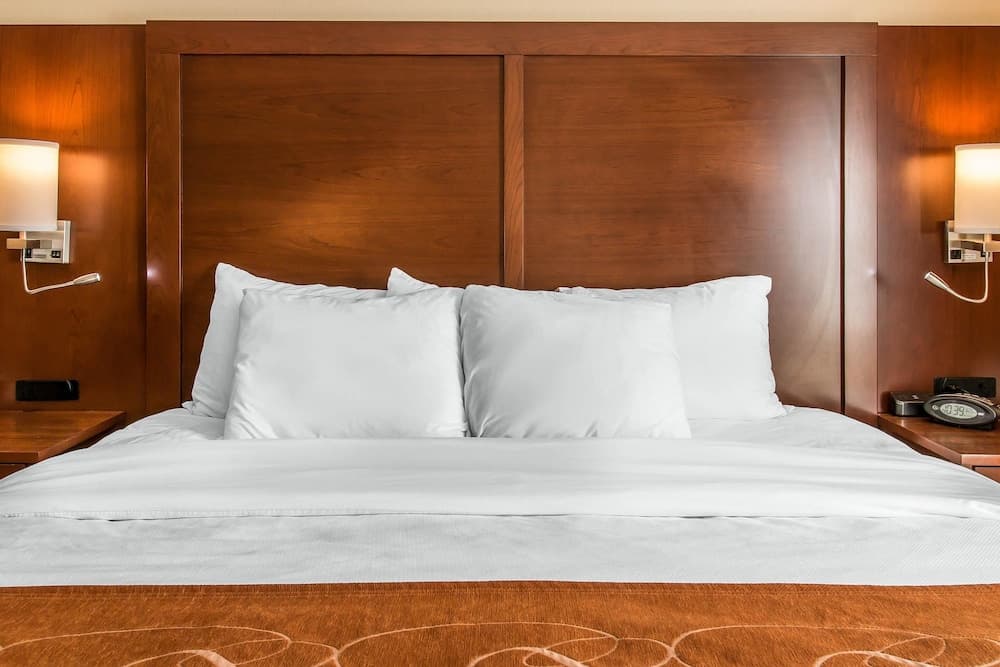 Comfort Suites Wixom - Novi