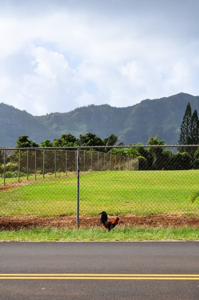 Kaua'i Palms Hotel