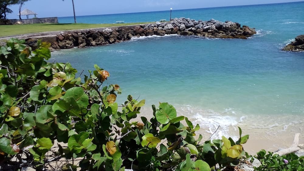 Sea Palms Resort