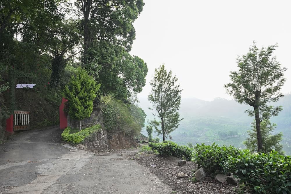 Tea Valley Resort