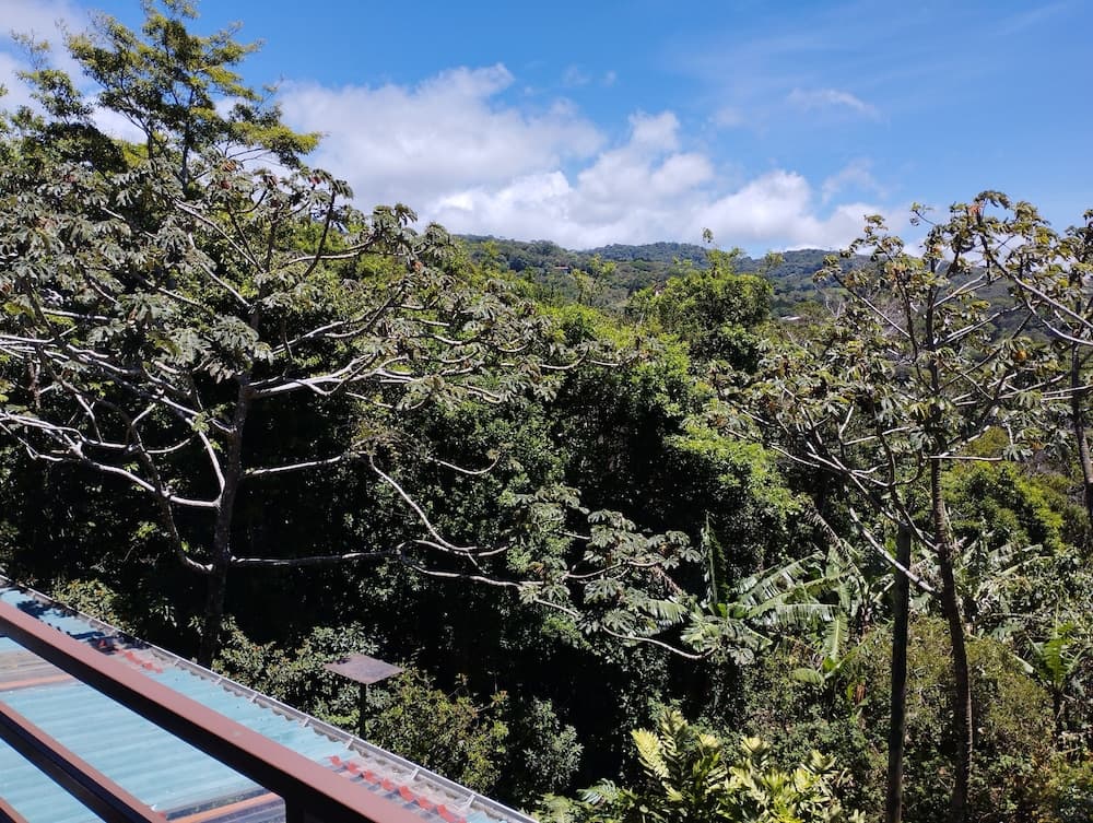 Cala Lodge