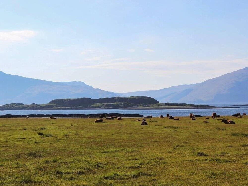 Lurach Flat