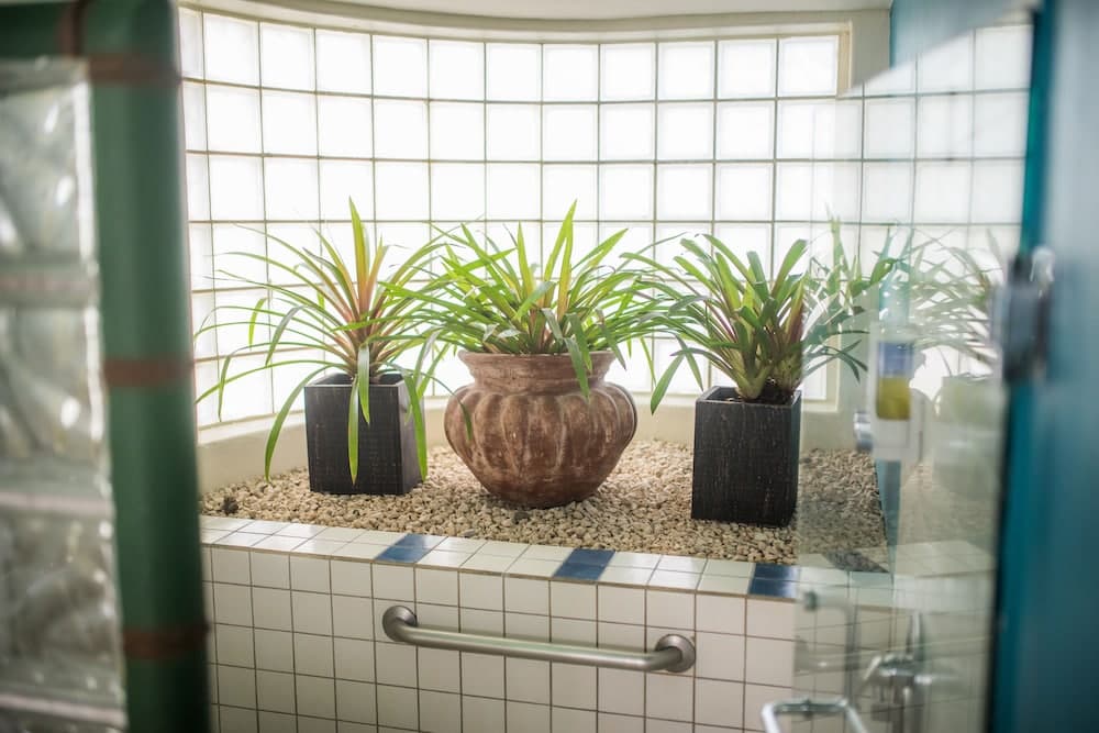 Si Como No Resort, Spa and Wildlife Refuge