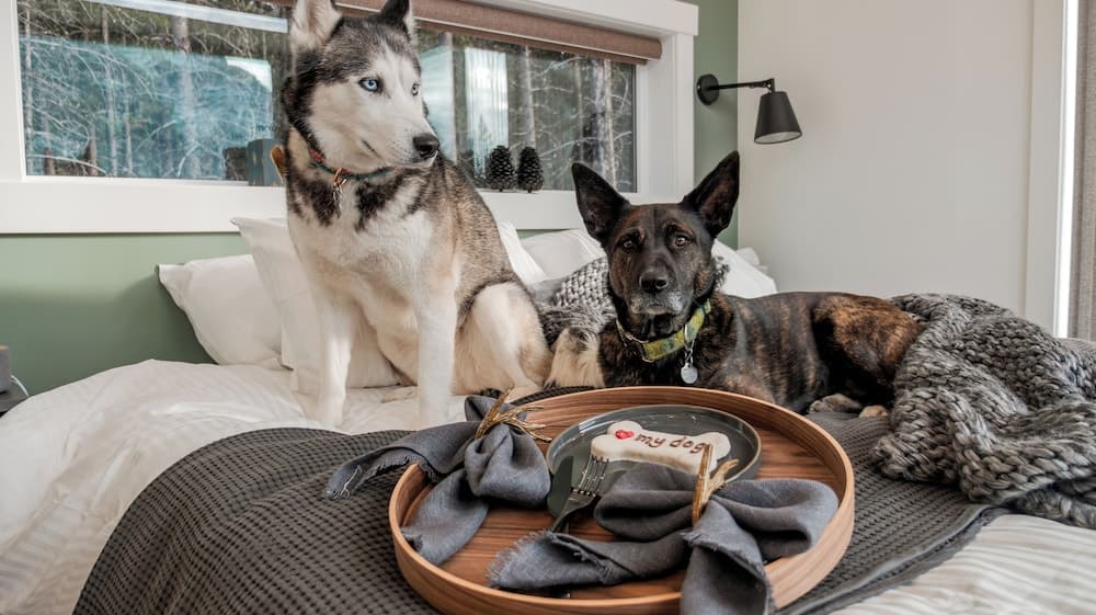 Skyridge Glamping