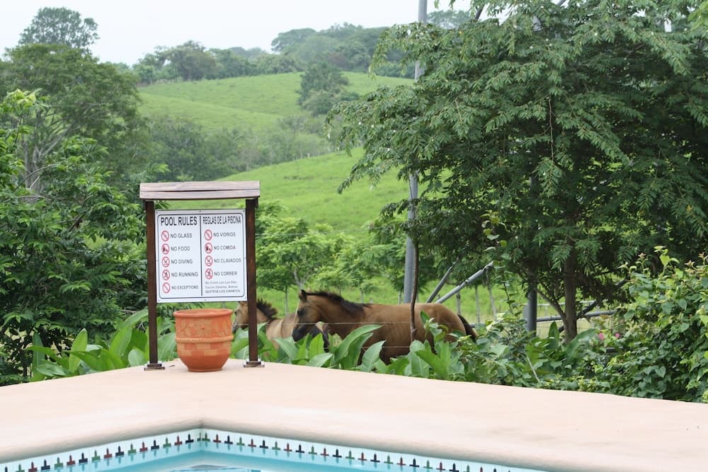 Hacienda Doña Carmen