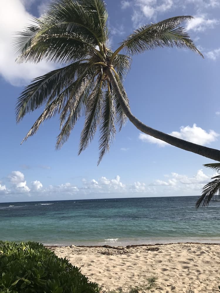 The Palms at Pelican Cove