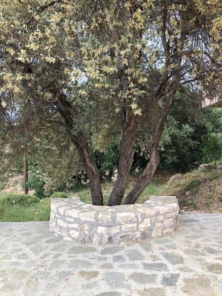 Oros Villas