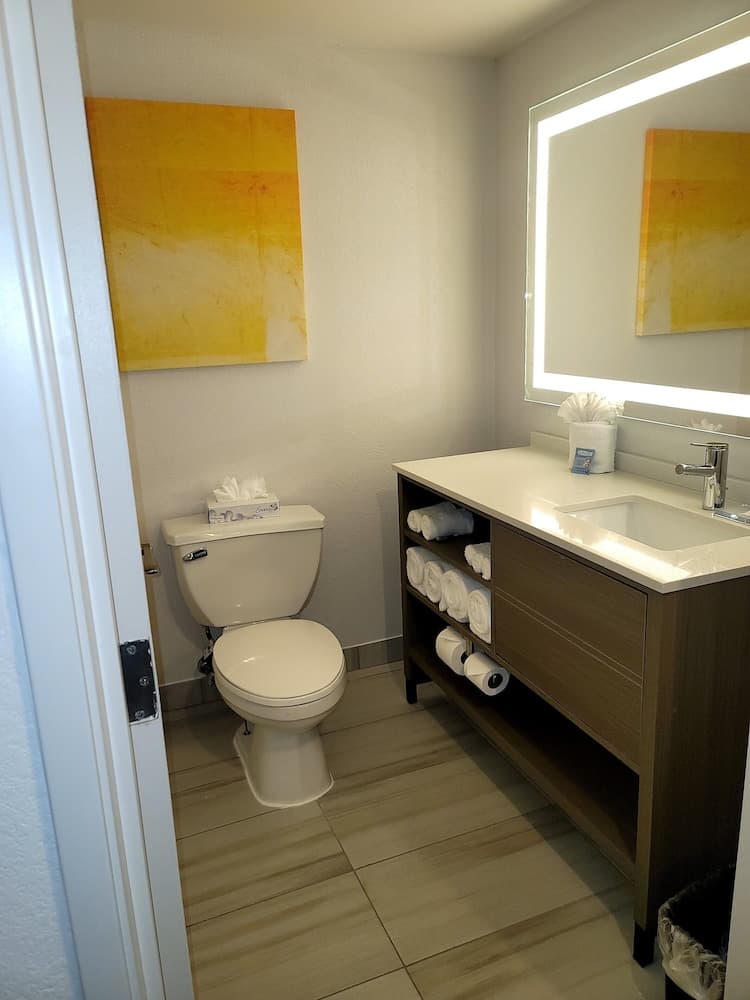 Comfort Inn & Suites Arlington Heights - Schaumburg