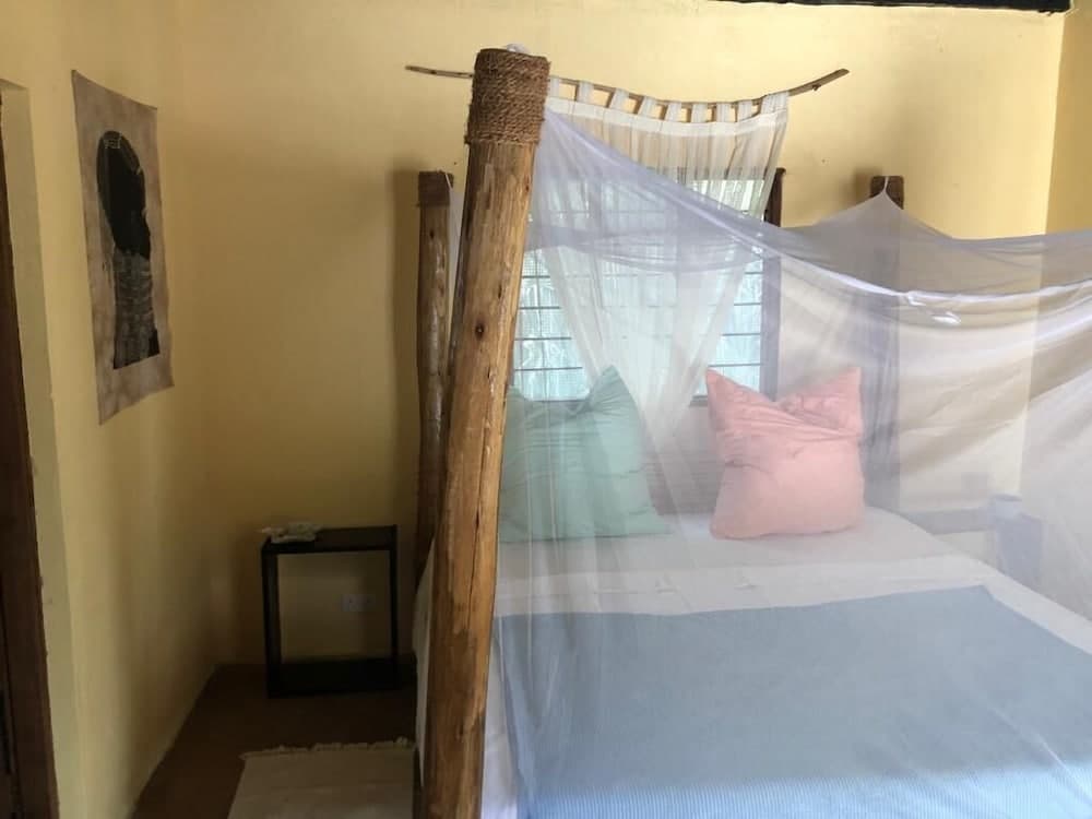 Dreams of Mapacha