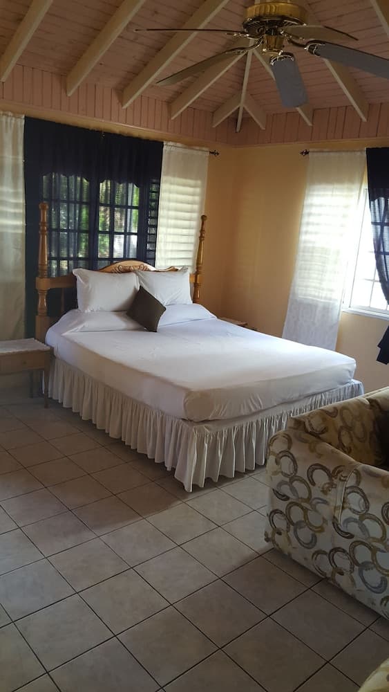 Palm Tree Guest House