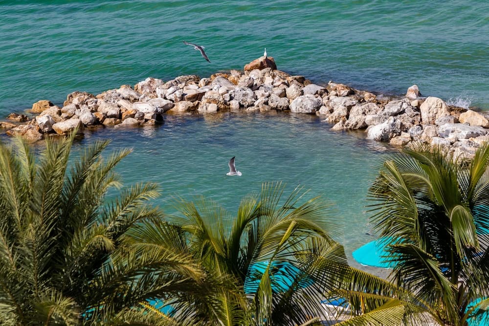 Shephard's Beach Resort
