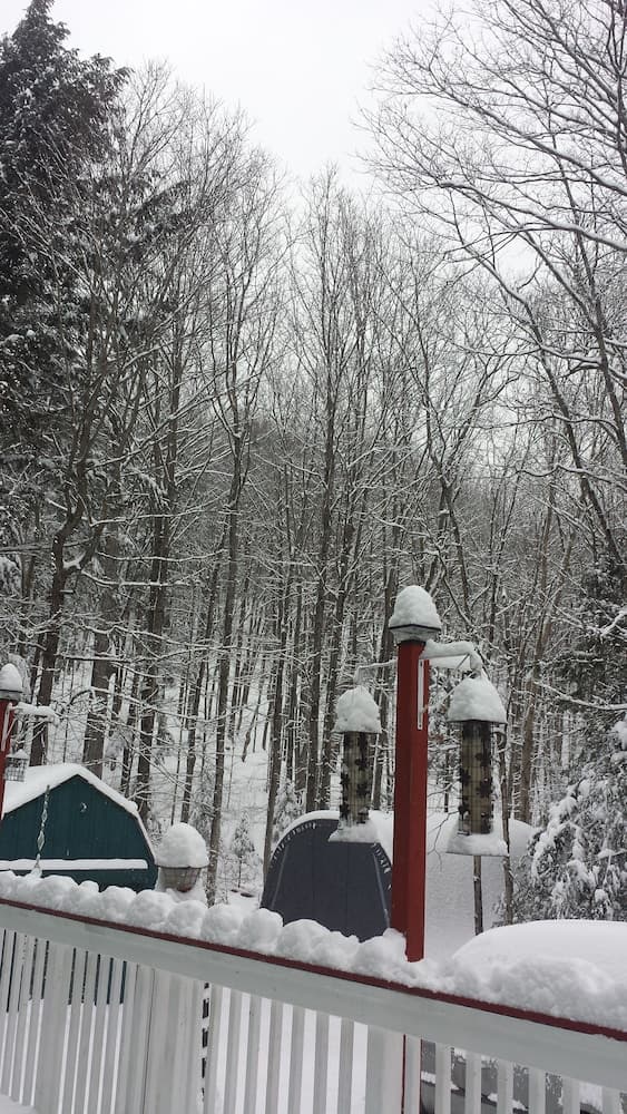 8 Acre Wood
