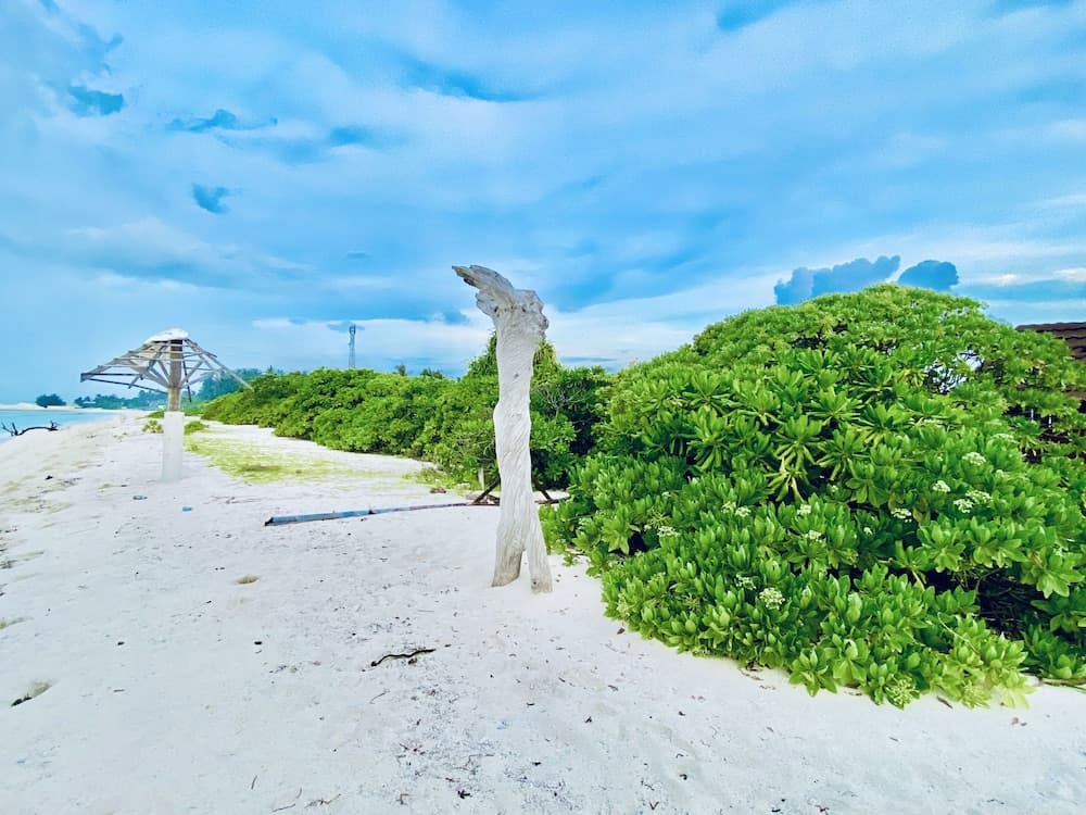 Oasis Village Fenfushi