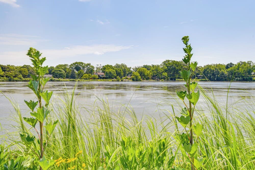 Bike & Kayak: Lakefront Prospect Heights Home