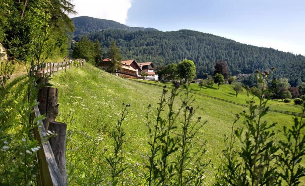 Naturhotel Wieserhof