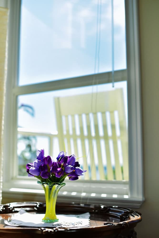 Star of the Sea Guest House