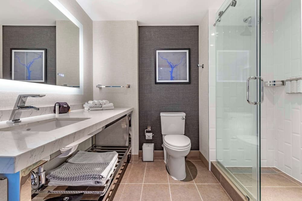 Cambria Hotel Washington D.C. Navy Yard Riverfront