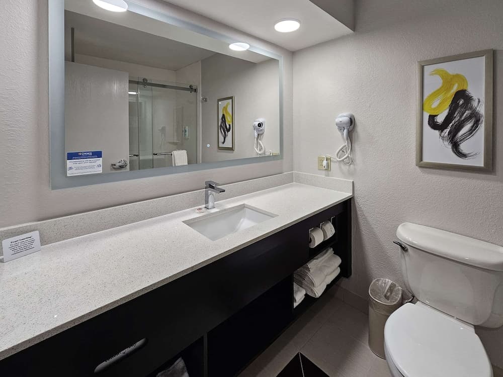 Comfort Inn & Suites Saint Louis Lafayette Square