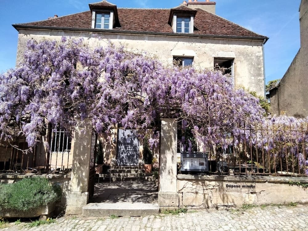 Hôtel Les Glycines