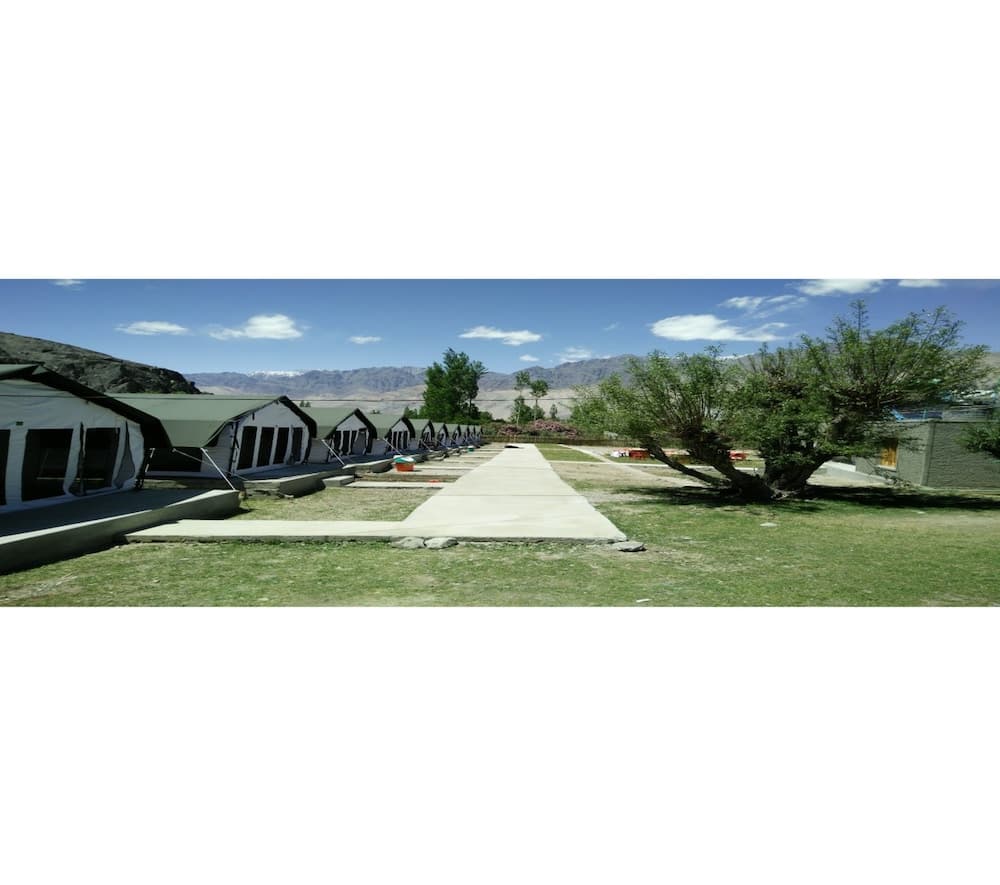 Nubra Summer Camp