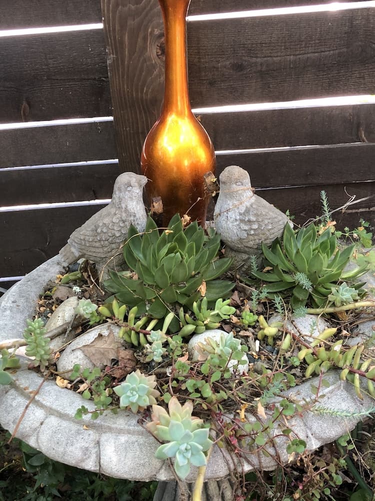 Glen Ellen Inn