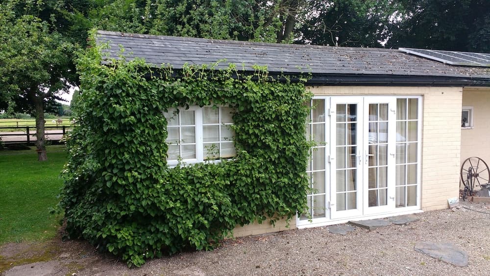 Beech Hill B&B