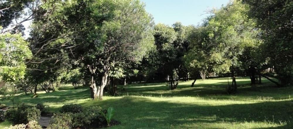 Ol-Moran Tented Camp
