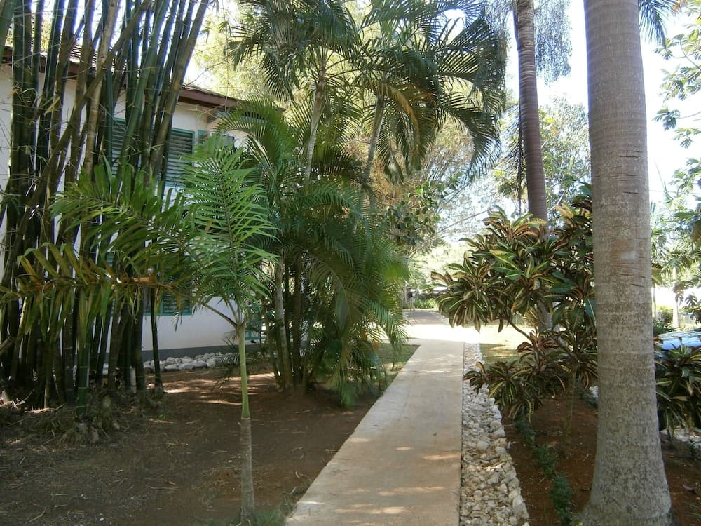Gold Nugget Hotel