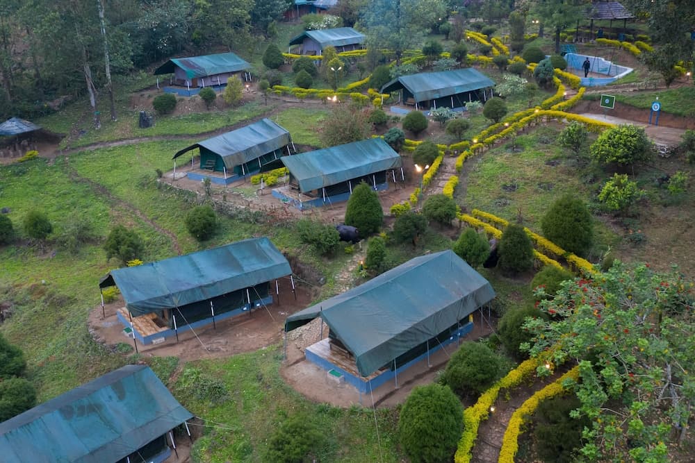 Nature Zone Jungle Resort