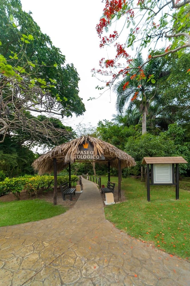 Princess Family Club Bavaro - All Inclusive